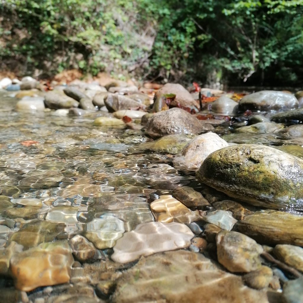 seul on va plus vite ensemble on va plus loin