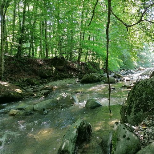 Soins énergétique canton de vaud